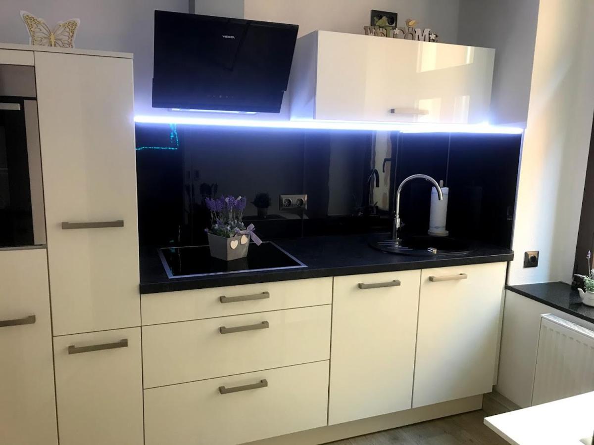 Salzhausblick Business Apartments - Zentrale Lage Am Salzhaus - Mwst-Rechnung Verfuegbar Zittau Rom bilde